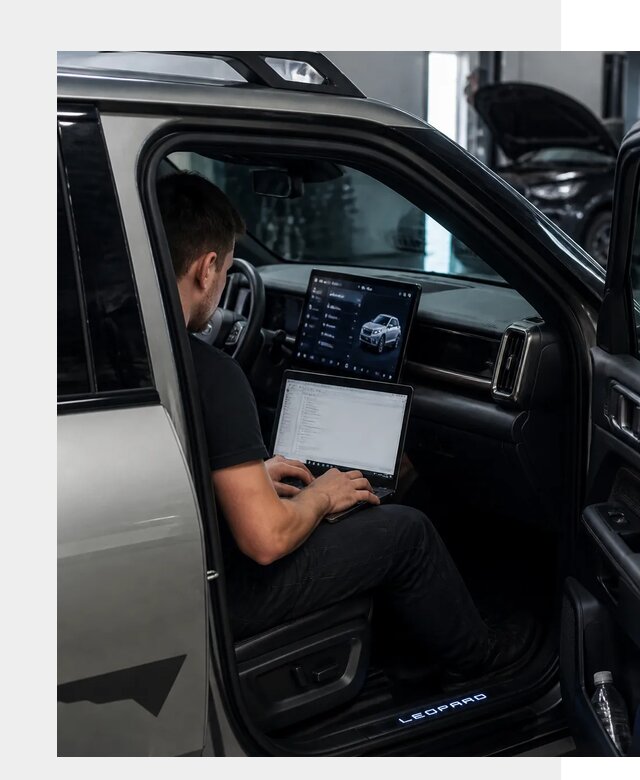 Русификация BYD Leopard 3 в Салехарде по цене от 21301 р. | ФастМобиль-Слх